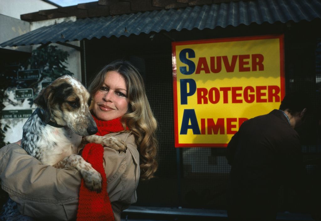 Brigitte has kept rescued animals in her hotel rooms during her set days