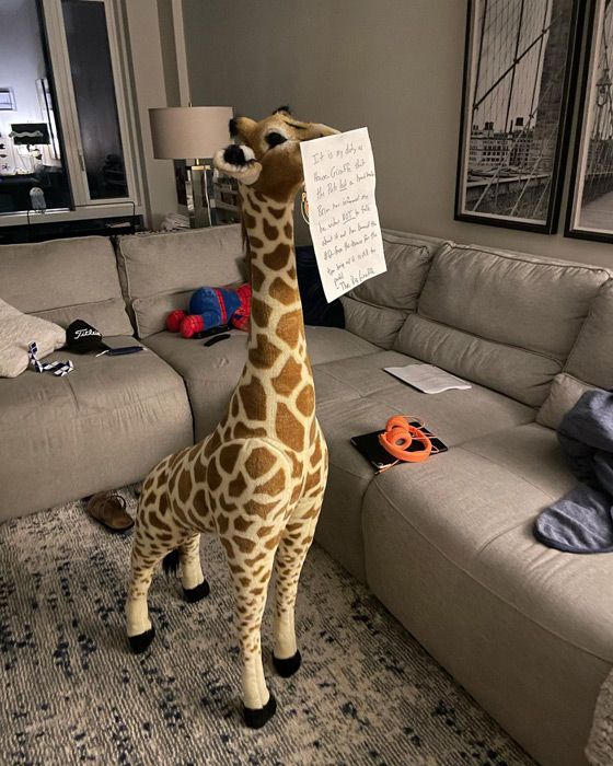 dylan dreyer giraffe living room