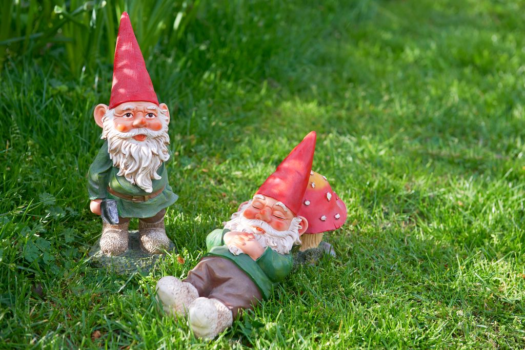 one relaxing and one upright garden gnome