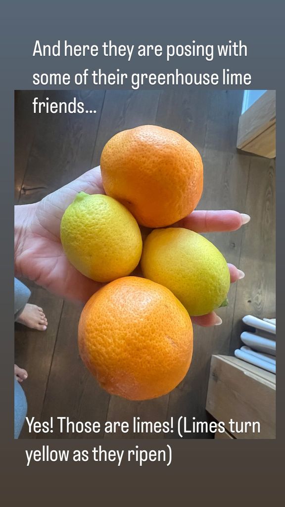 carrie underwood shows off homegrown mandarins and limes