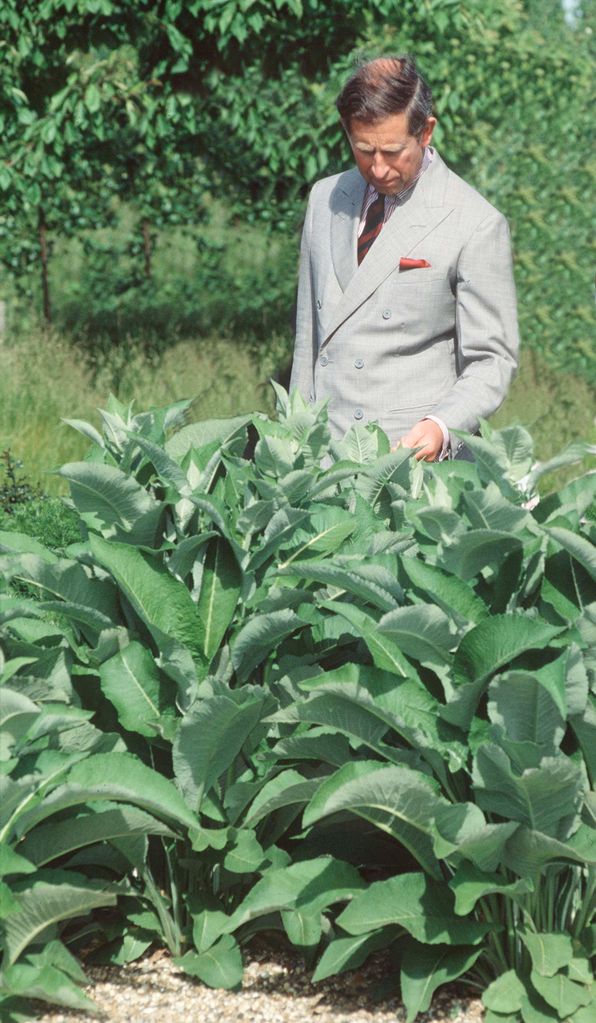 King Charles has embraced organic farming for decades