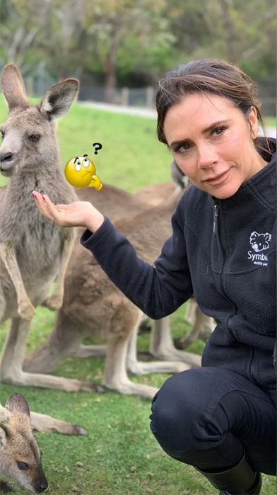 Victoria Beckham kangaroo