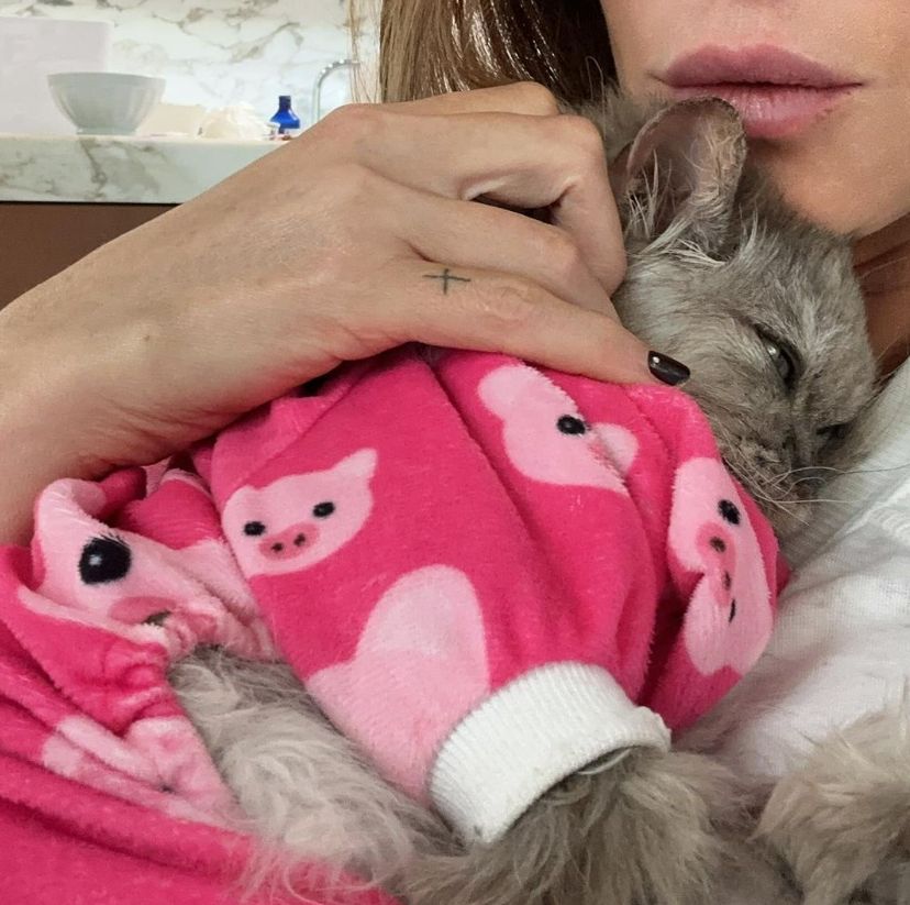 Kate Beckinsale's cat Clive passes away leaving her heartbroken