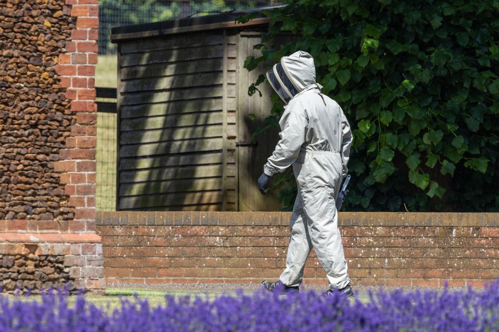The pest control man wearing white suit