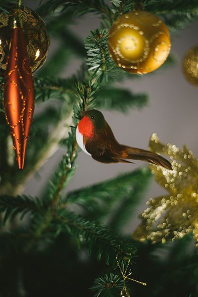christmas tree robin