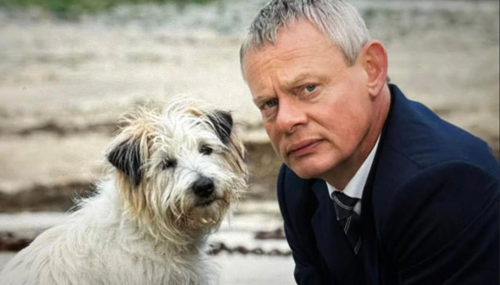 Dodger very sadly passed away last year