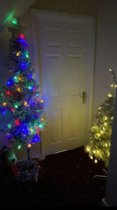 gregg wallace christmas tree 1