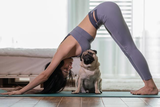 pets yoga