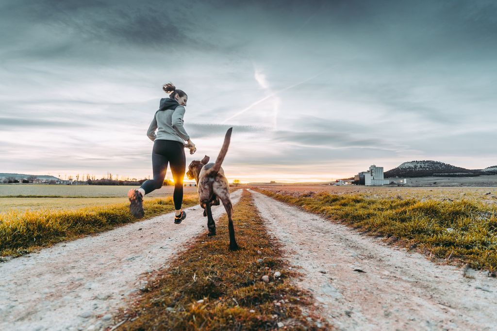Femme et son chien courant vers le coucher du soleil sur une route de campagne