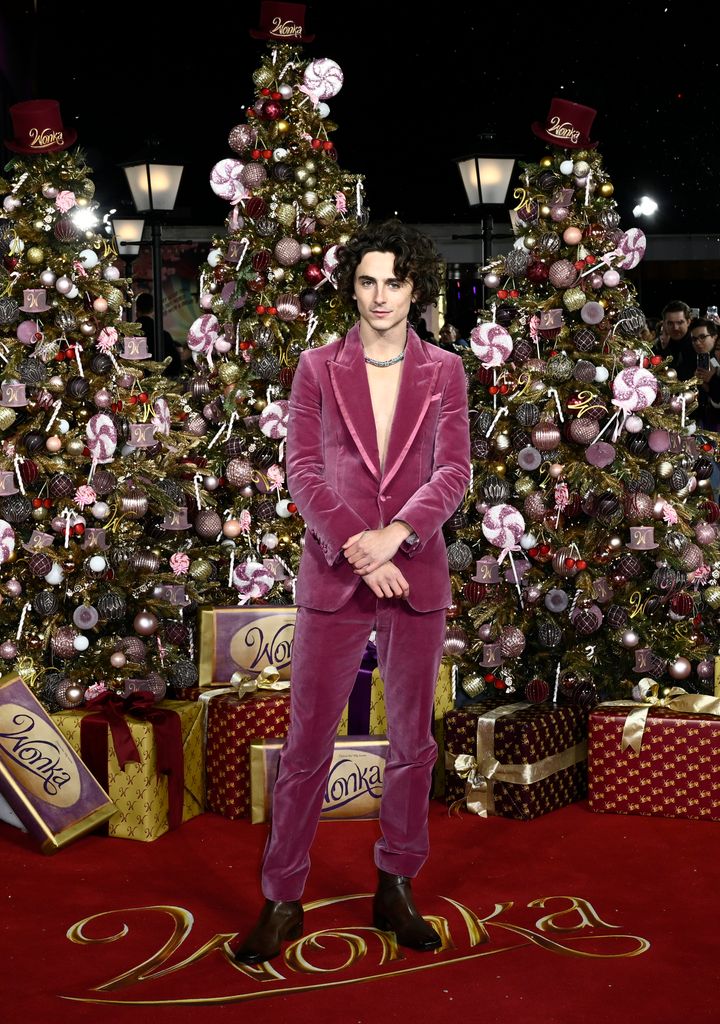 Timothee Chalamet donned a bold suit which complemented the decor of the red carpet