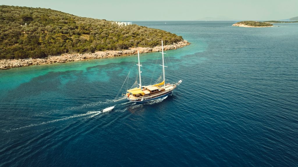 The boat trip was a blissful way to spend a day