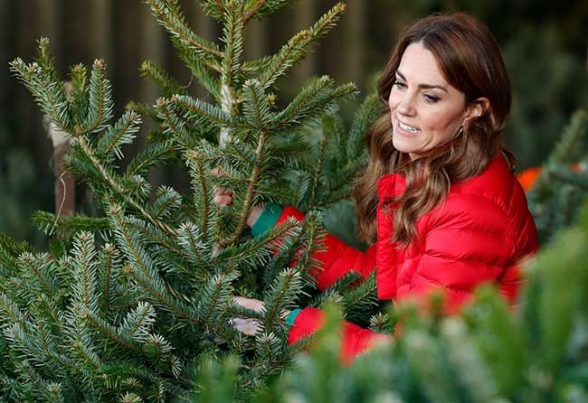 Princess Kate inspecting a Christmas tree
