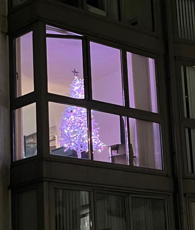 A Christmas tree in a window