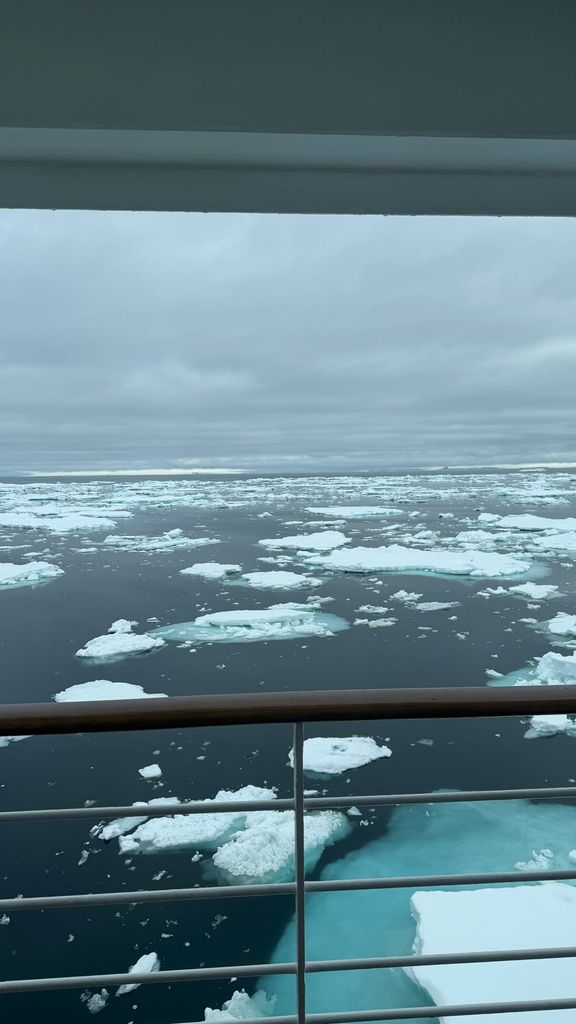 The icy water of Antarctica posted by Dylan Douglas