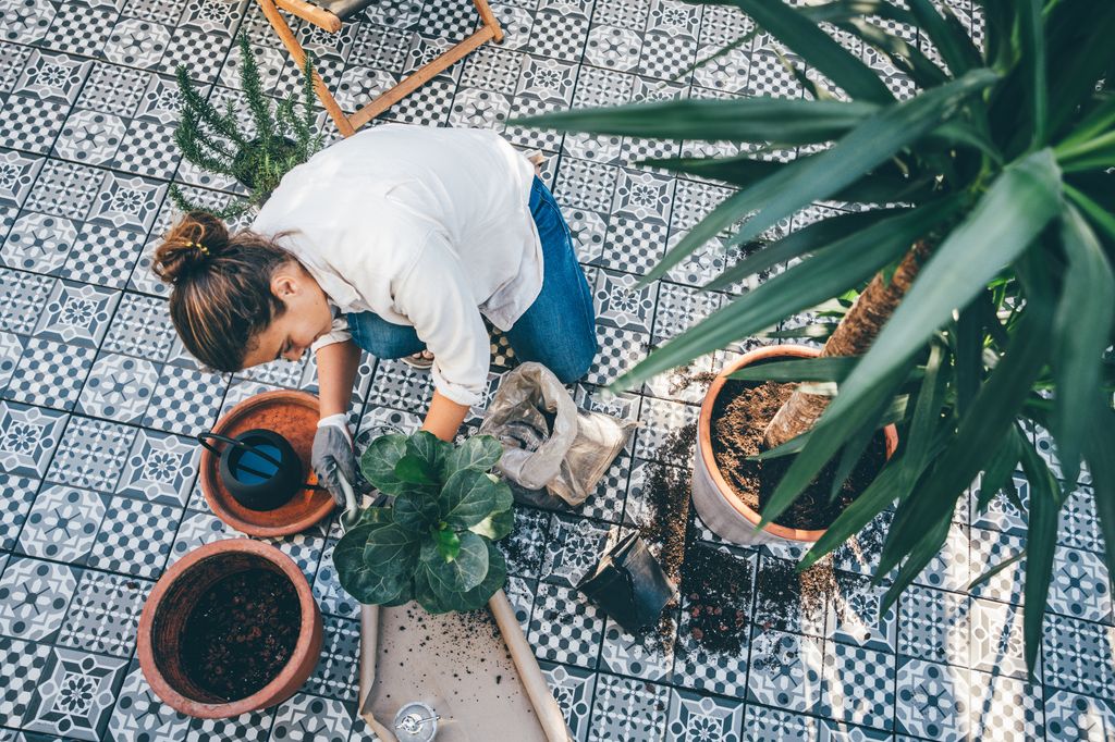 Woman gardening and repotting plant at the backyard