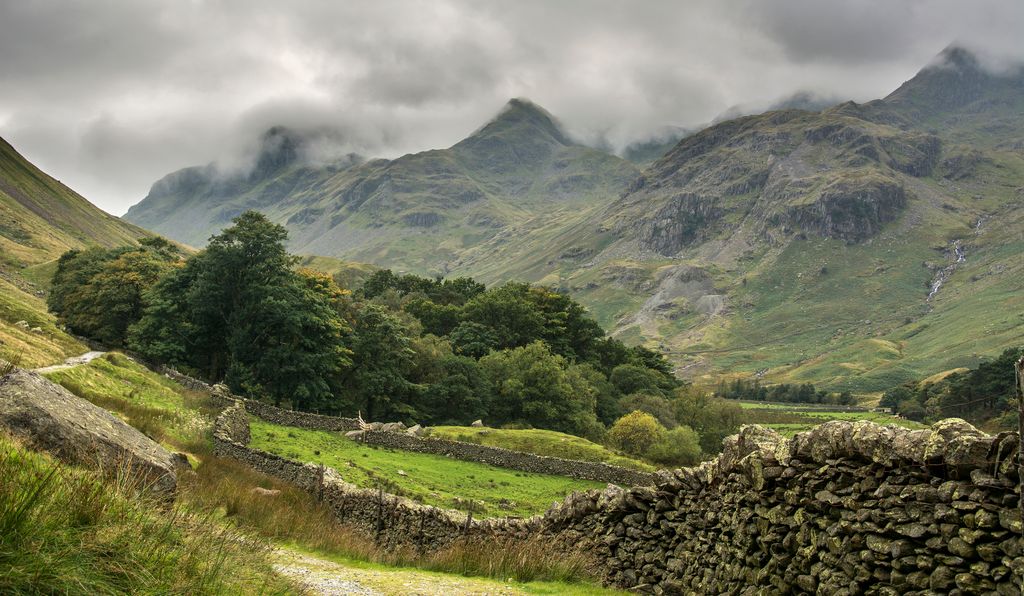 view of grizedale forest