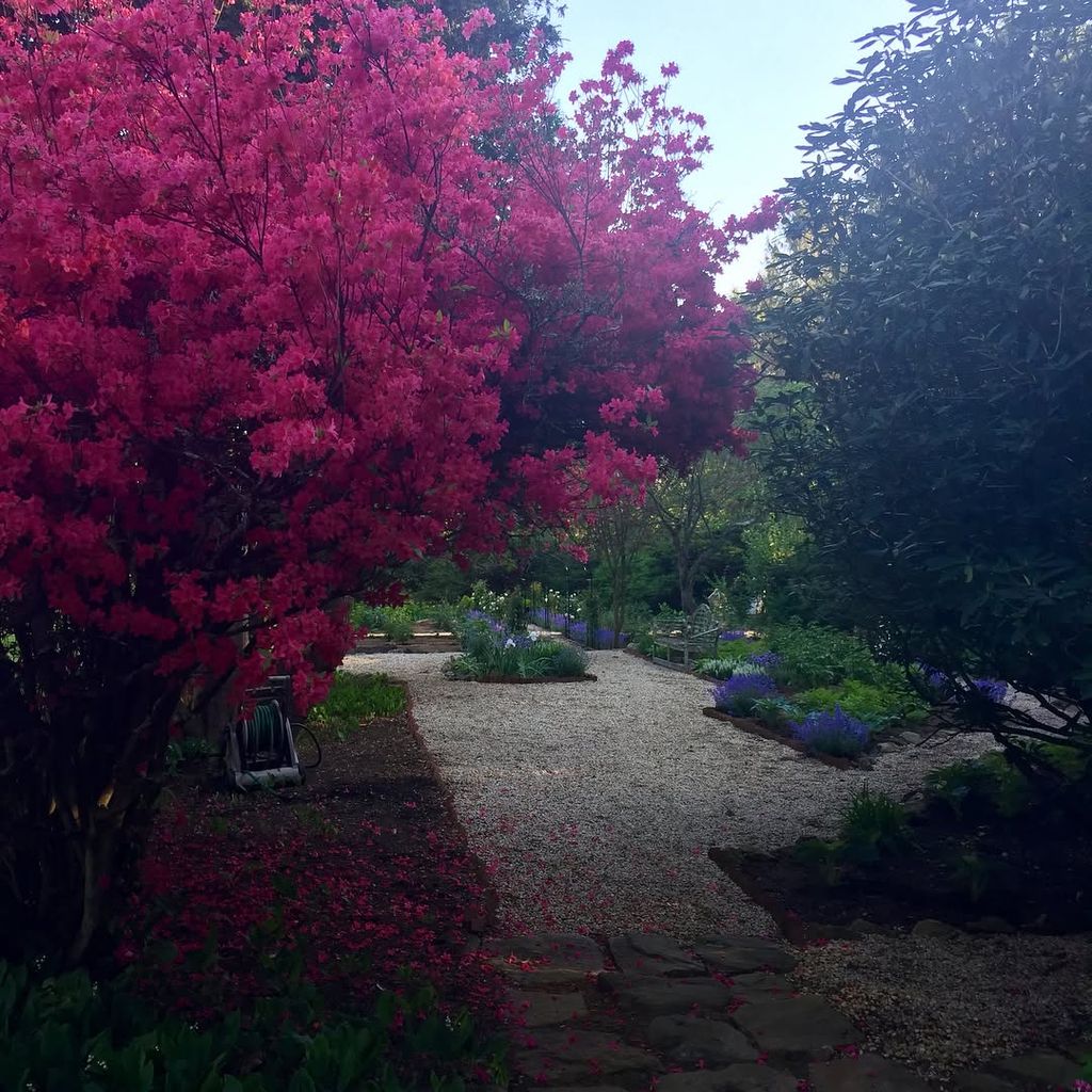 The garden is a floral paradise