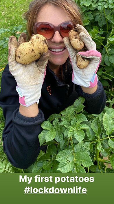 elizabeth hurley potatoes