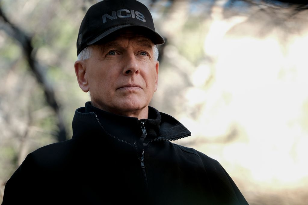 "Lonely Hearts" -- The lead suspect in an NCIS murder investigation is a woman Gibbs' friend, Phillip Brooks (Don Lake), met on a dating site. Also, Sloane has a secret admirer on Valentine's Day, on NCIS, Tuesday, Feb. 11 on the CBS Television Network.  Pictured:  Mark Harmon as NCIS Special Agent Leroy Jethro Gibbs.