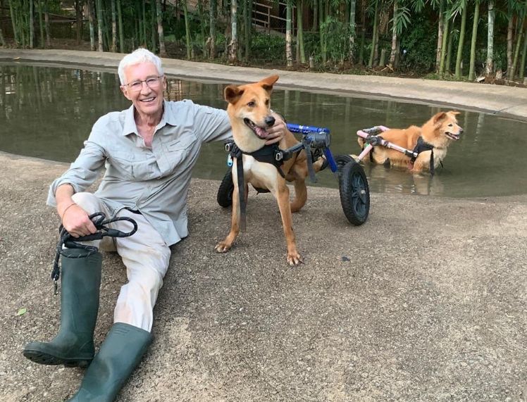 Paul with two paraplegic dogs