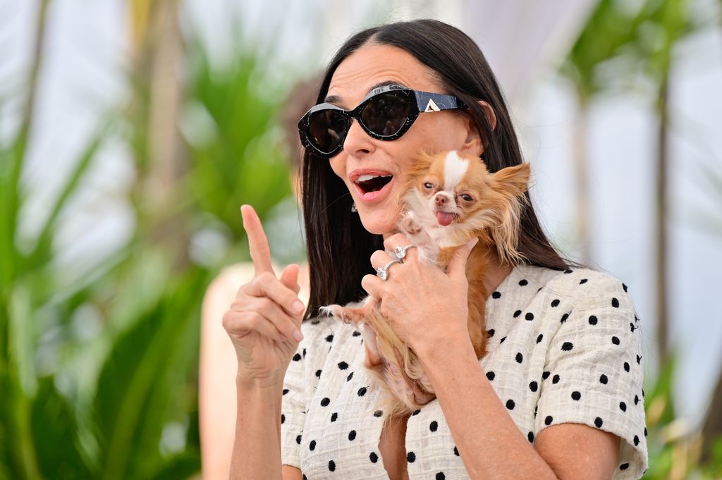 Demi Moore attended the photocall with her little dog