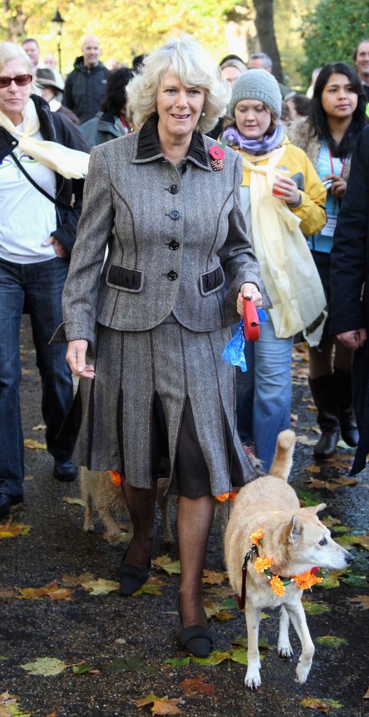 Queen Camilla walking a dog in smart clothing