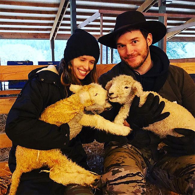 Chris Pratt farm ranch