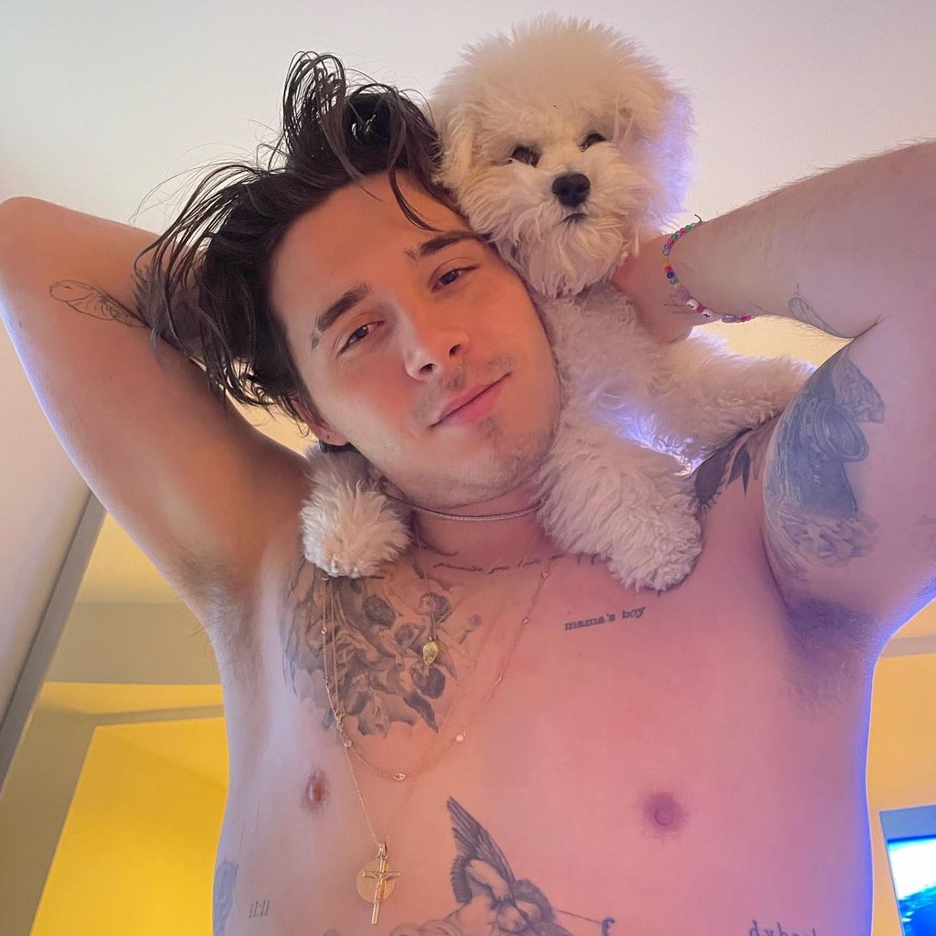 brooklyn beckham posing topless with dog on his shoulders 