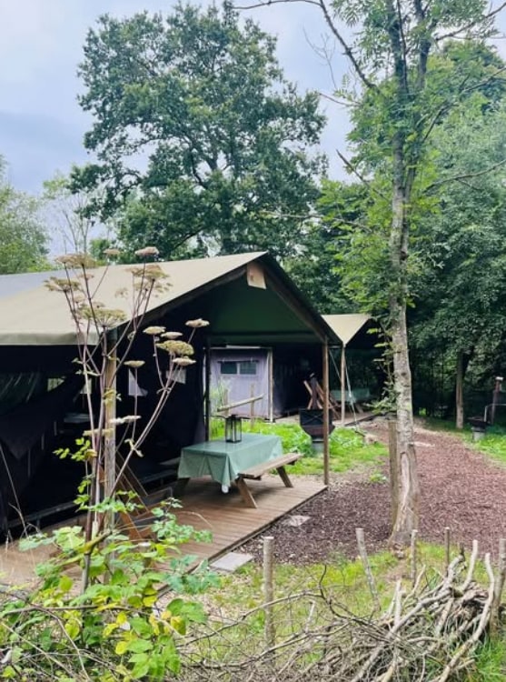 large tented building with trees around