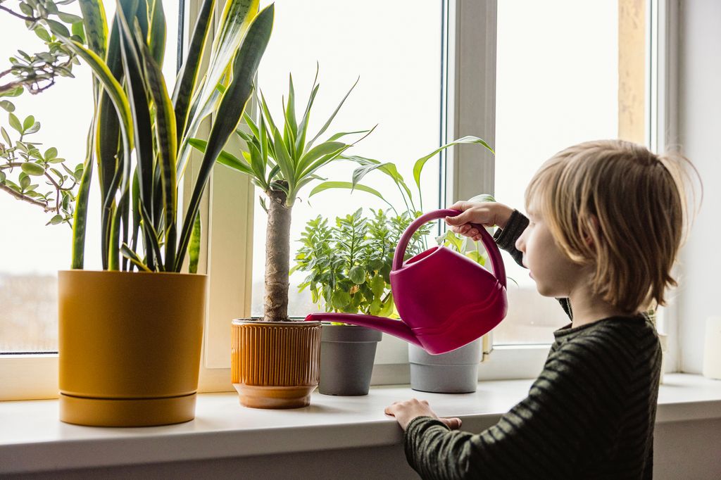 Young boy watering plants at home