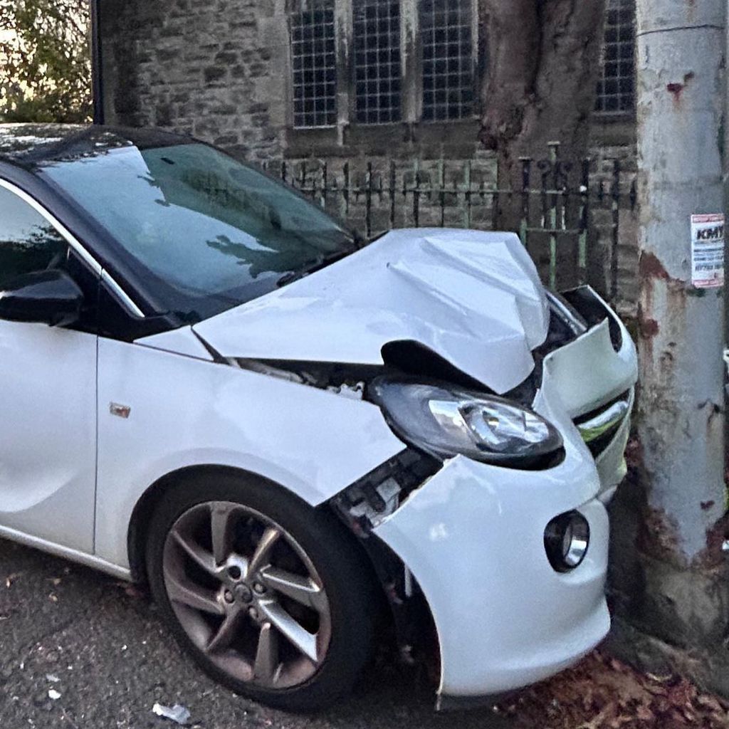 The Gogglebox star revealed that the driver who caused the accident was on his phone at the time