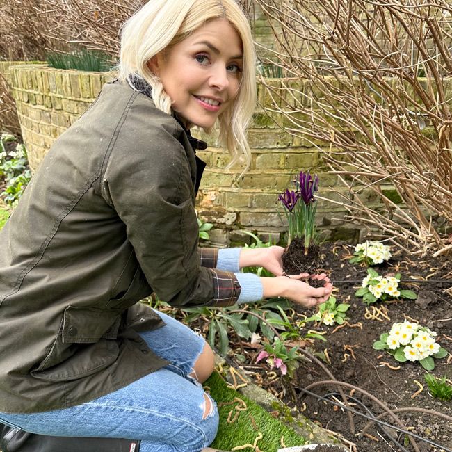 holly planting flowers in garden