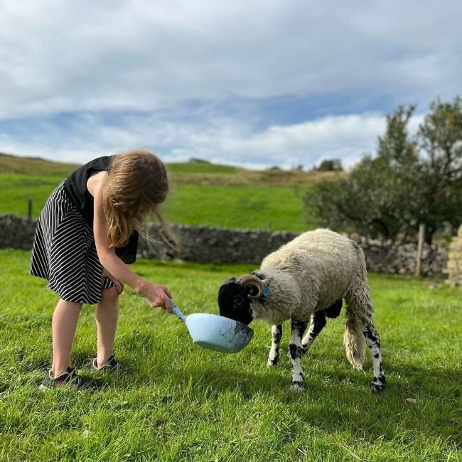 amanda owen daughter lamb