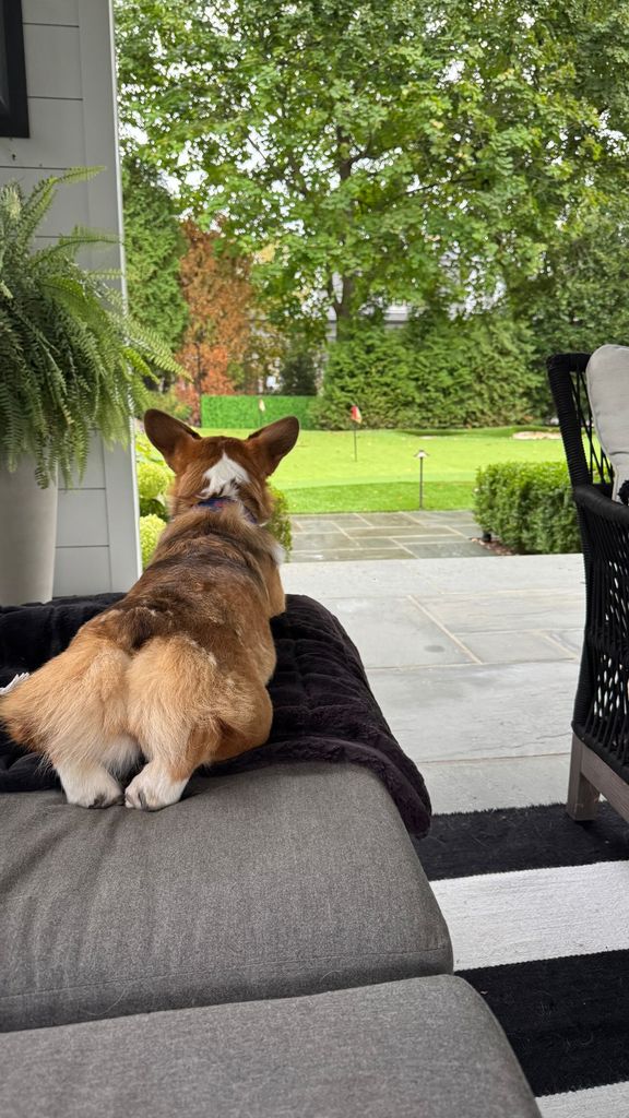 Lara's pooch looked out onto the putting green at their home