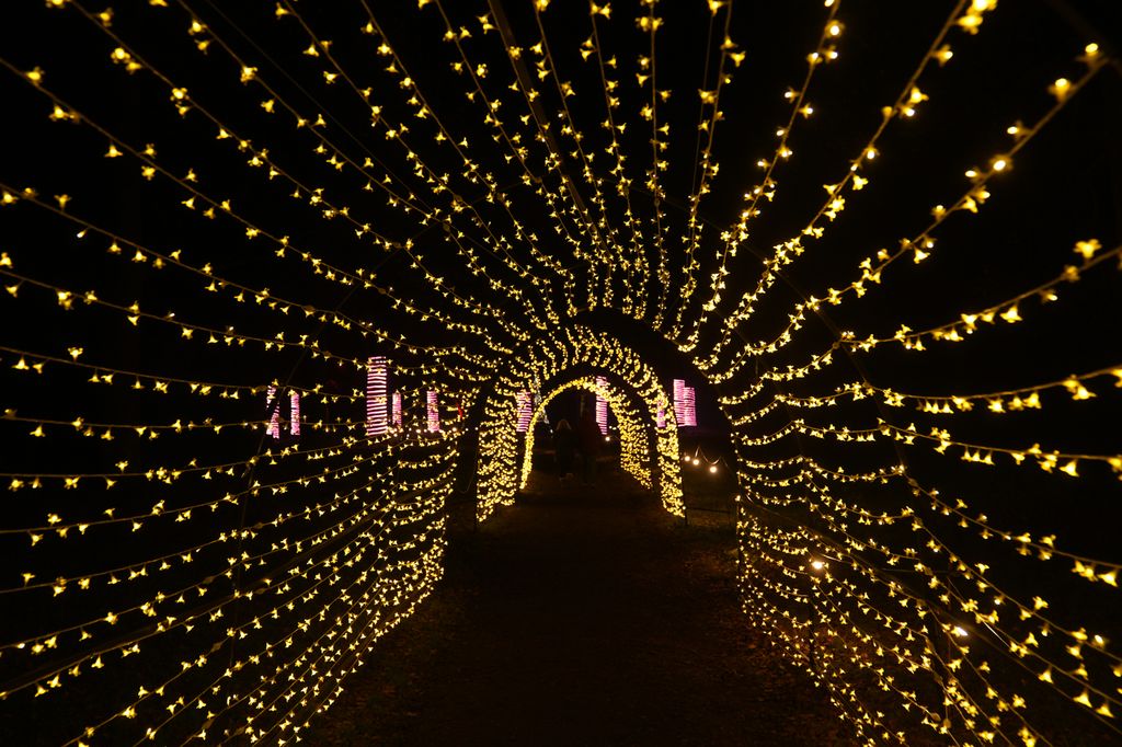 Tunnels of fairy lights during Luminate Sandringham