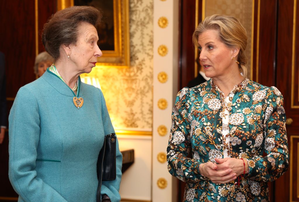 Princess Anne pinned a striking heart-shaped brooch to her outfit