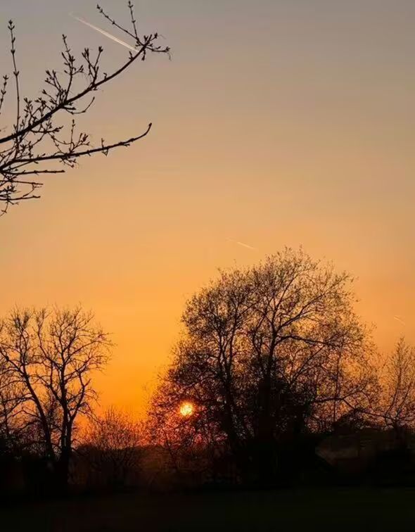Monty Don shared a breathtaking photo of a sunset sky online
