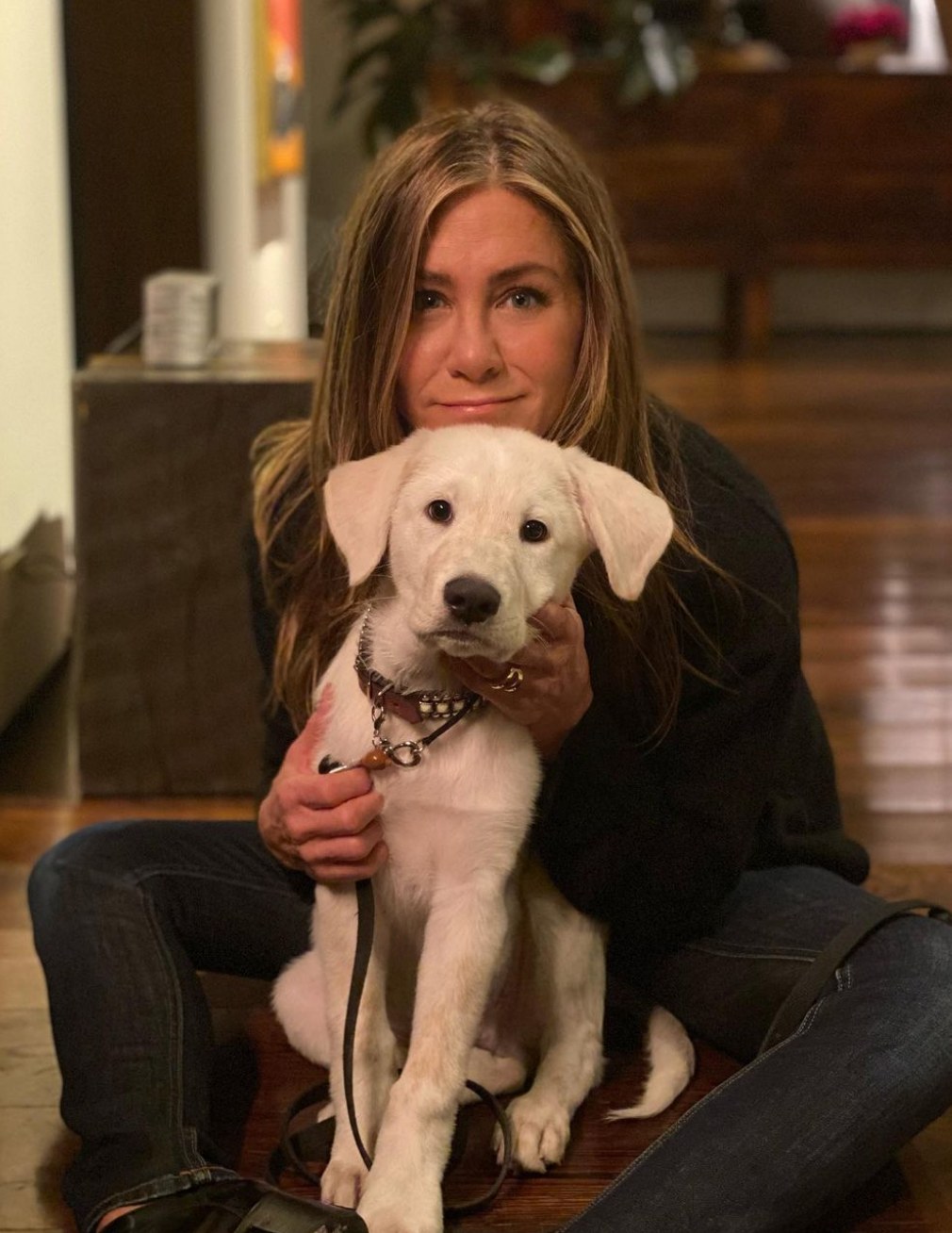 A photo posted by Jennifer Aniston to Instagram in November 2020 shows her dog Lord Chesterfield, whom she adopted in October 2020.