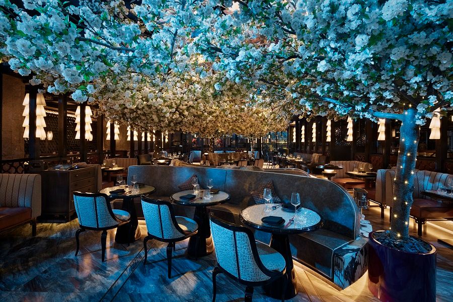 bar with blue decor and flowers on ceiling