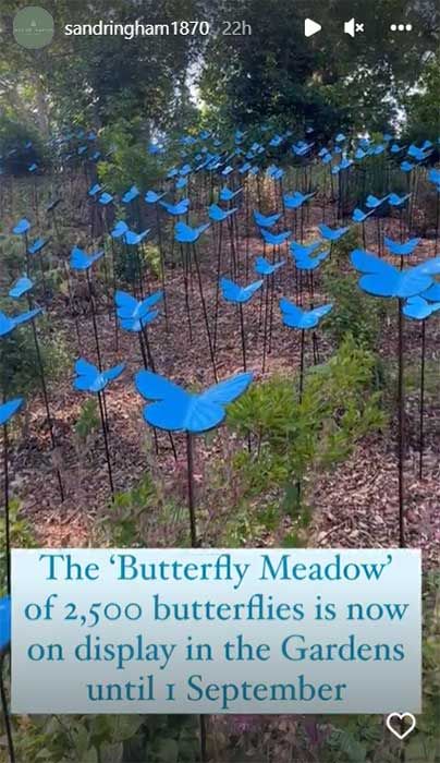 Sandringham Garden butterfly meadow