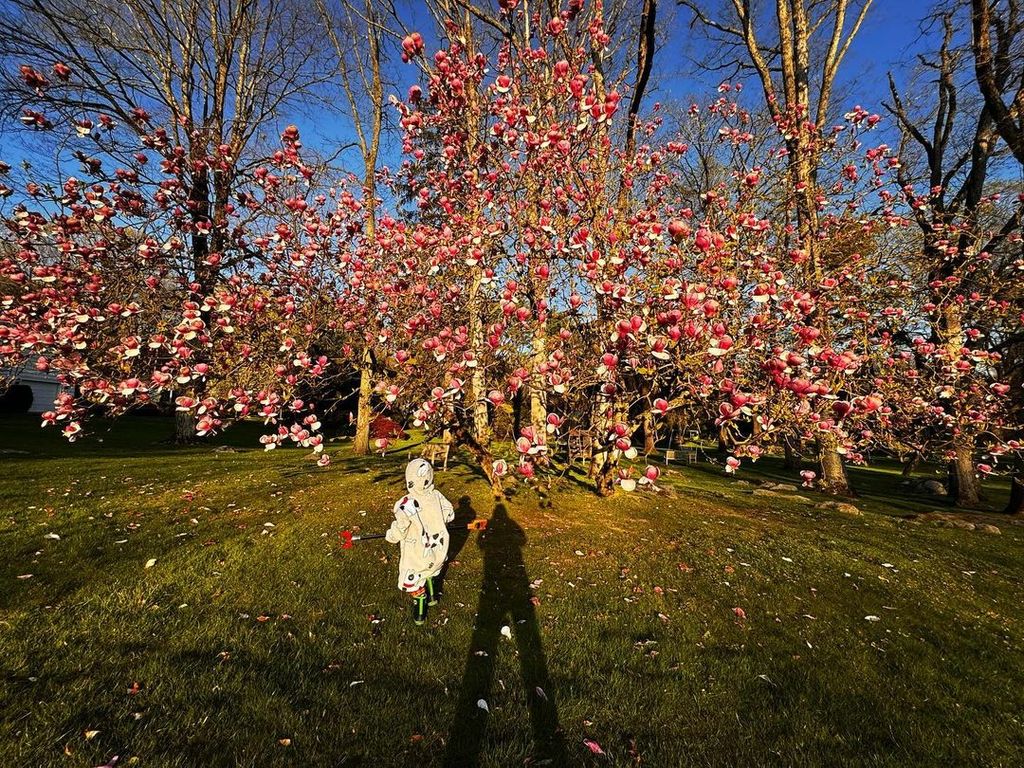 Alejandra and Richard Gere's estate in Connecticut