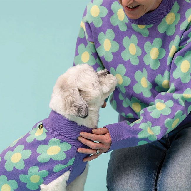 etsy jumpers purple dog owner