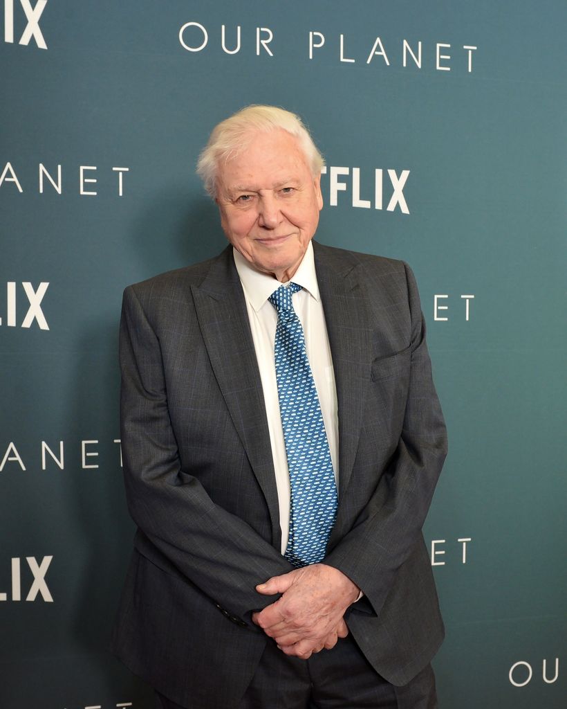 Sir David Attenborough, narrator of Netflix's documentary series, Our Planet