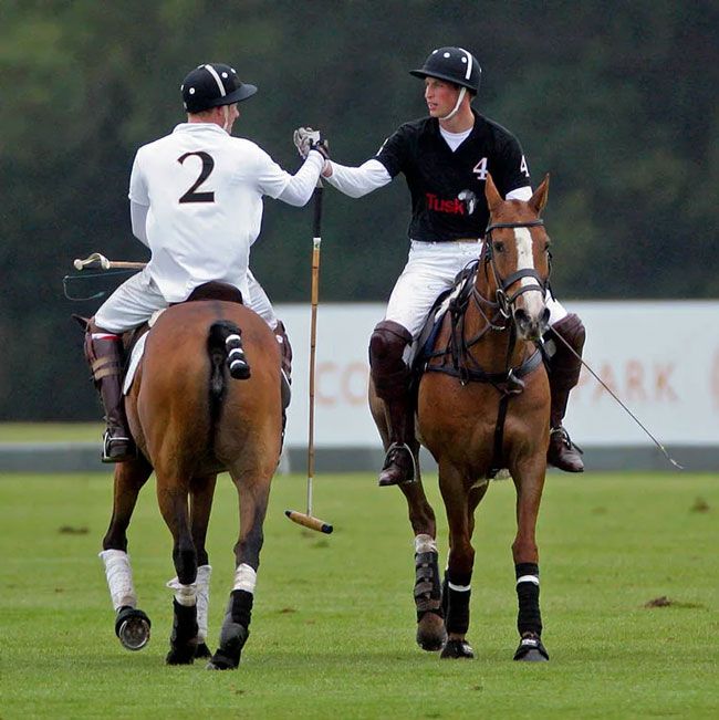 Prince Harry and Prince William play polo