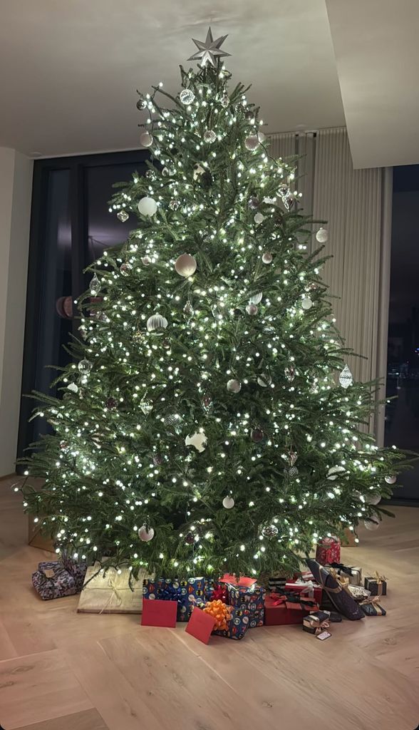 A Christmas tree decorated with silver lights