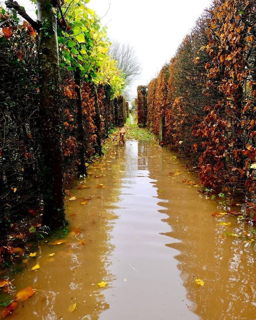 Monty Don shows flooding in his garden in November 2025