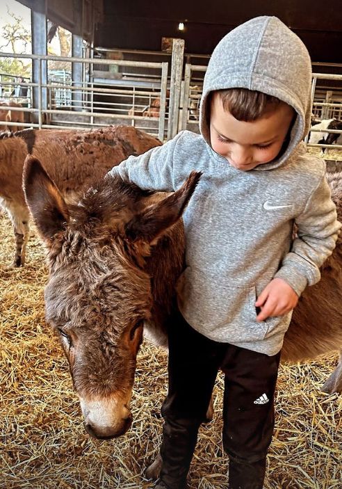 A young boy in a grey hoodie with his arm around a young donkey