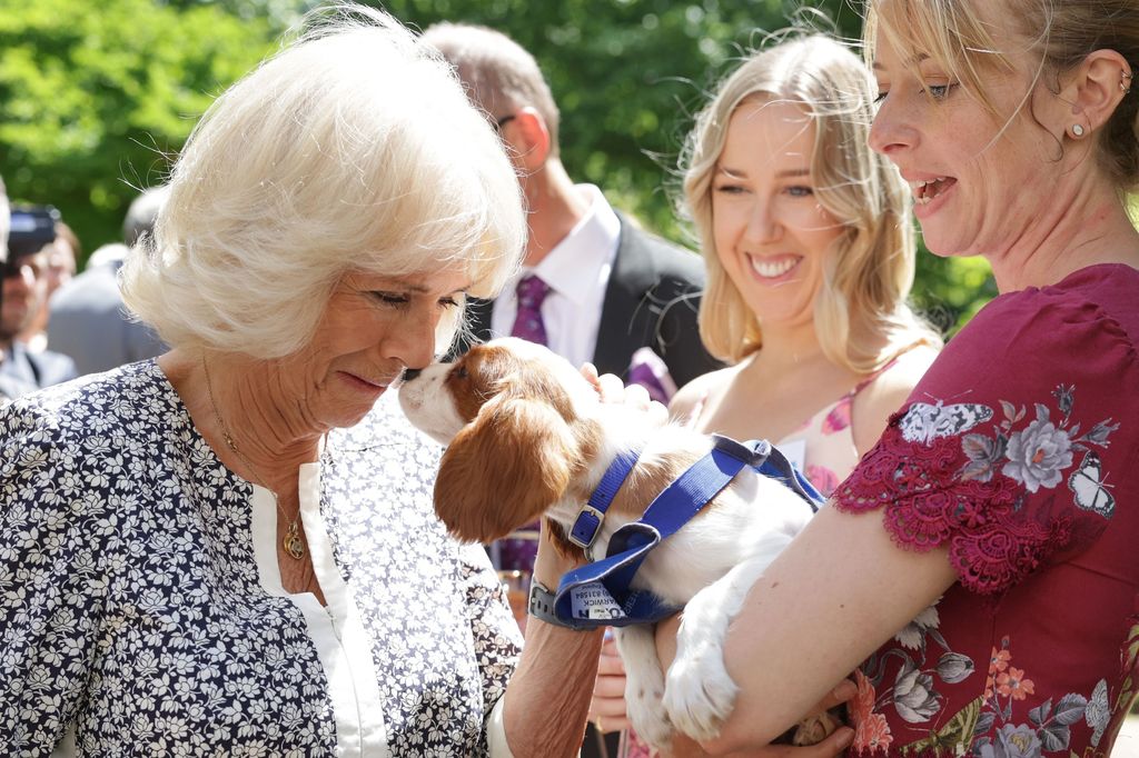 woman stoking dog 