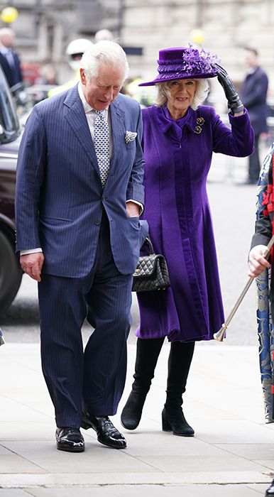 prince charles and camilla commonwealth