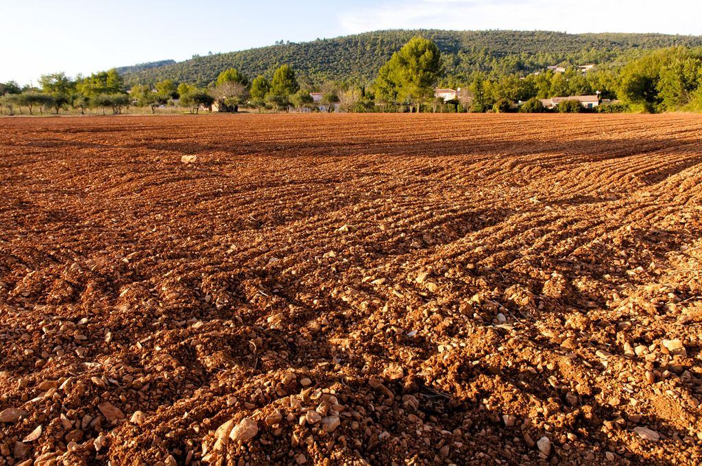 A plowed field in Provence, in GAreoult near Brignoles in France, at sunset